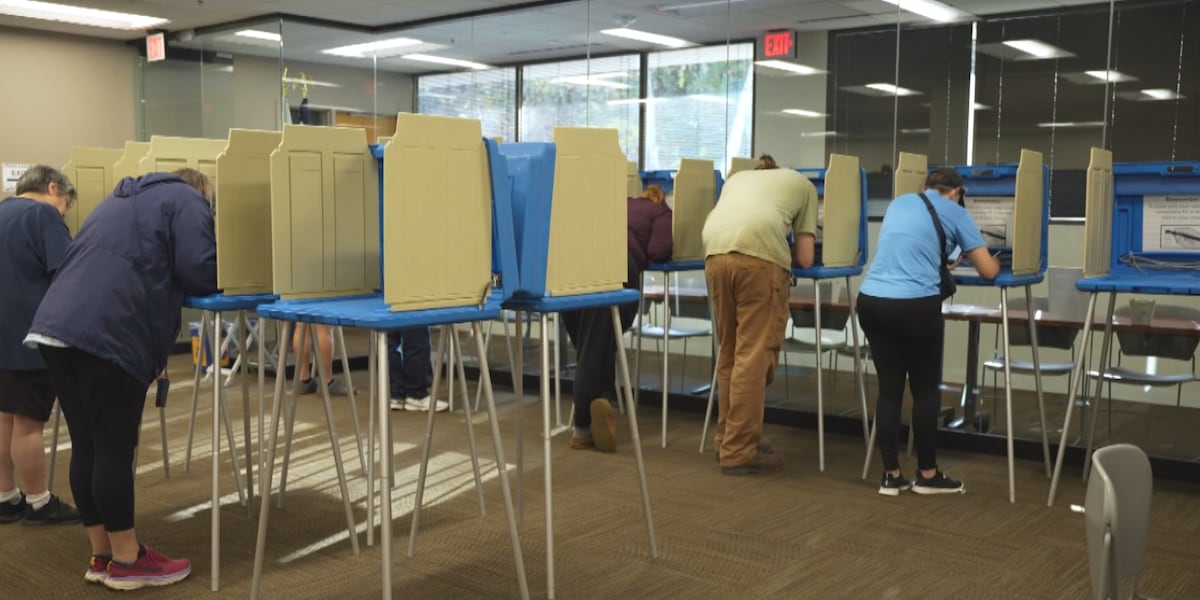 Minnesota Voter Integrity Act Raises Concerns